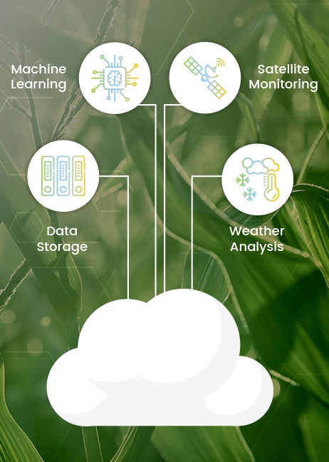AG Network AGRICULTURE DATA AND ANALYTICS PLATFORM​